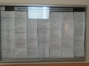 obwieszczenia płock